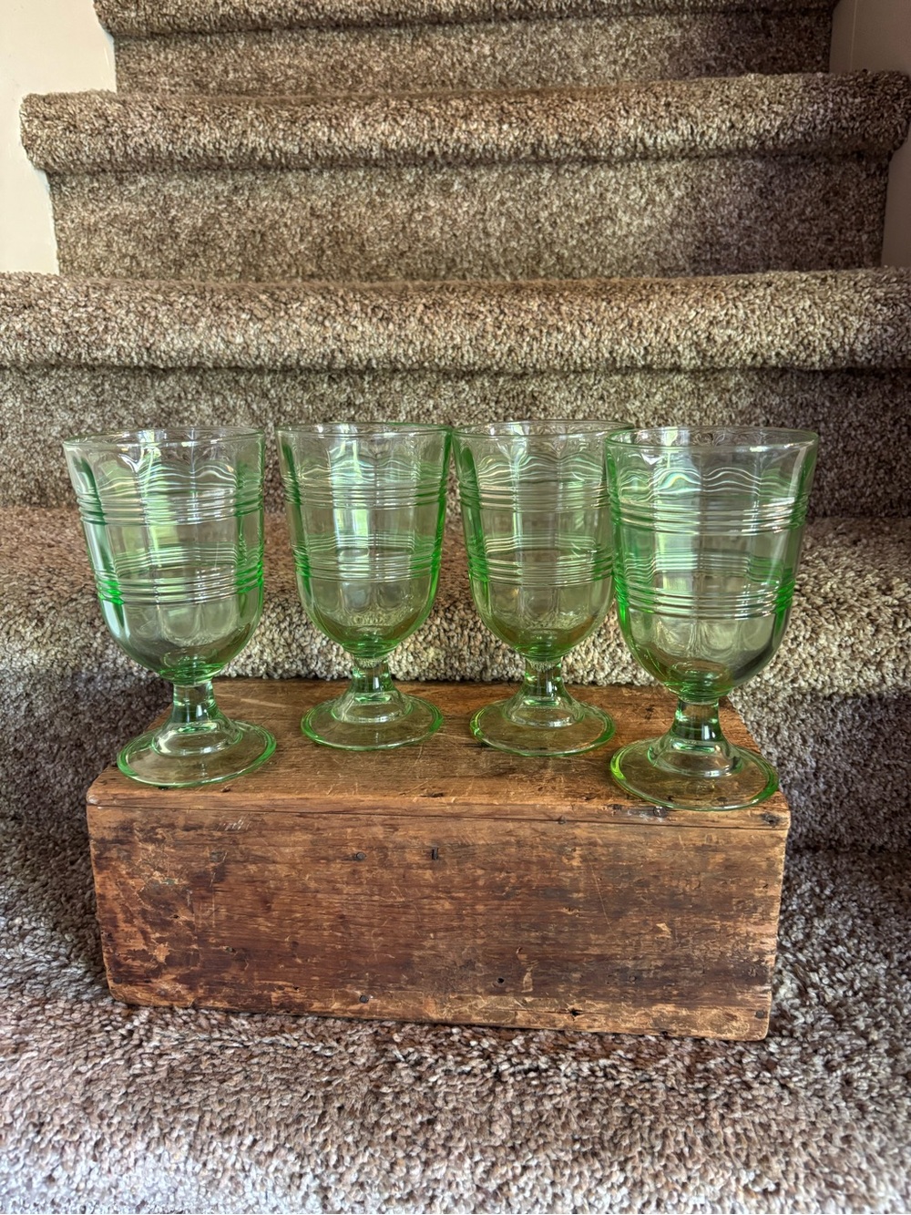 Martha Stewart goblets